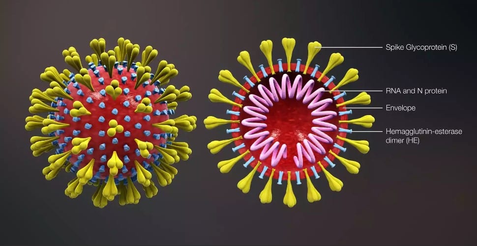 corona belirtileri coronavirus koronavirus belirtileri nelerdir tetra lab
