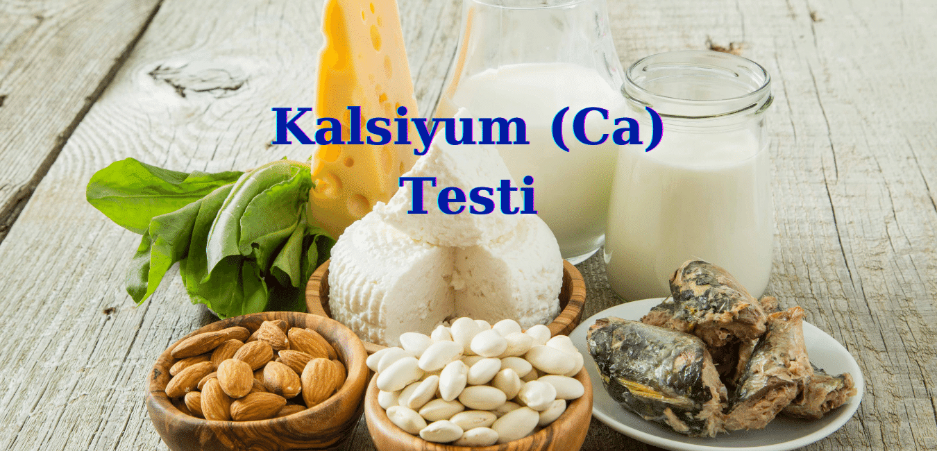 Kalsiyum (Ca) Testi
