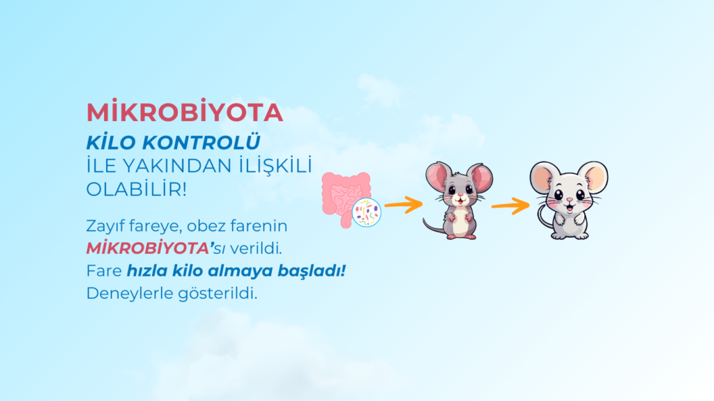 Mikrobiyota Testi