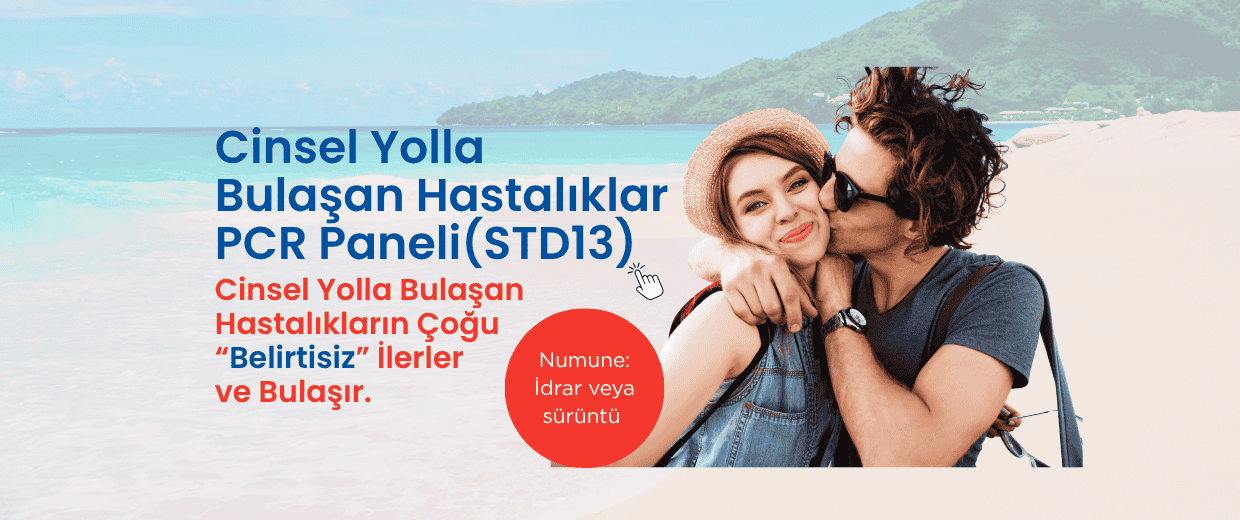 STD13