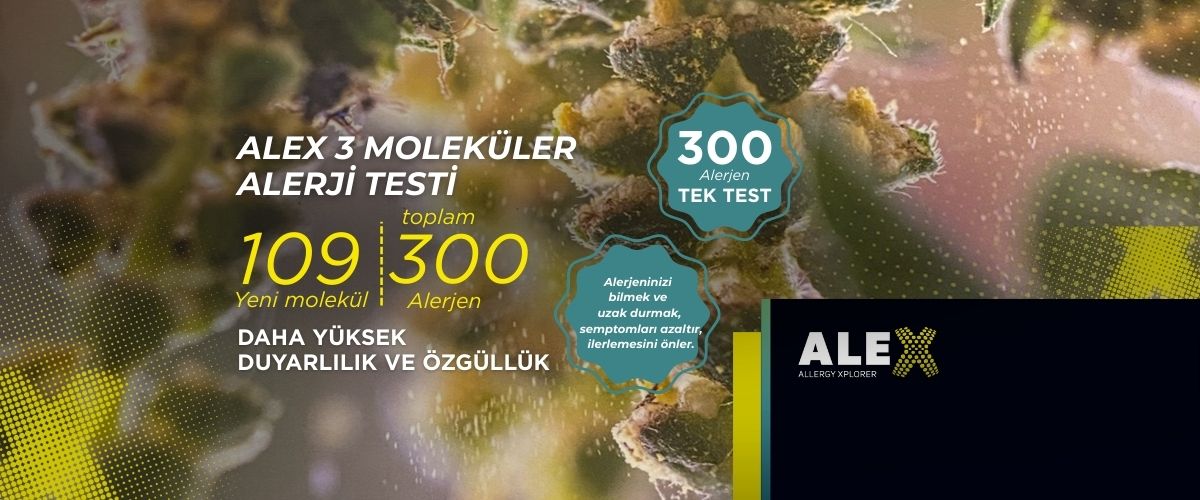 ALEX3 Moleküler alerji testi